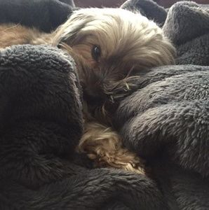 Meet your Posher, Paula